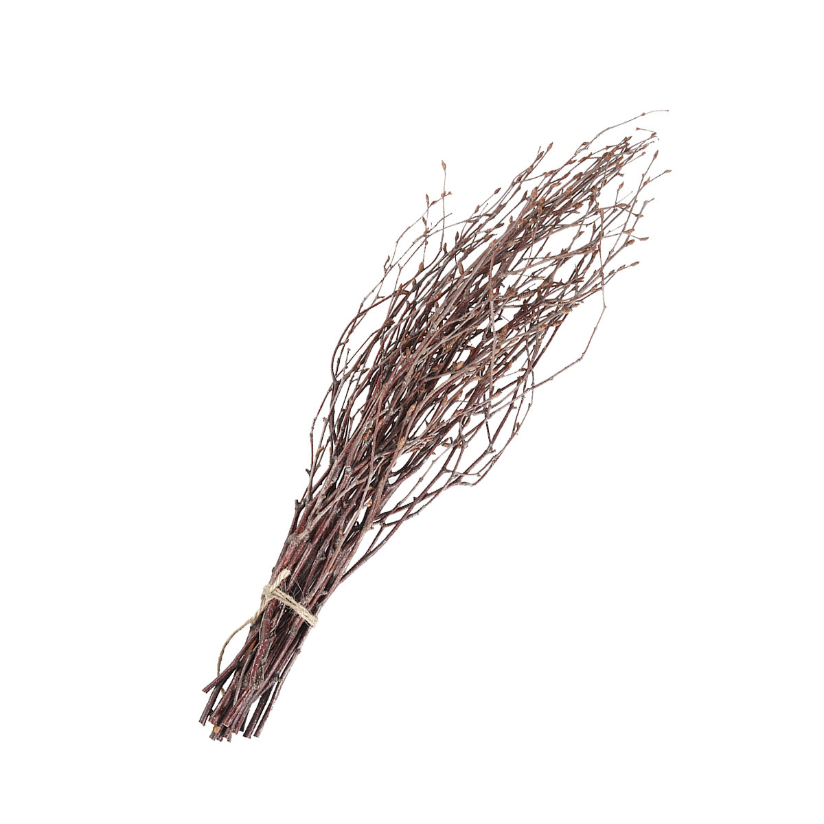 10 adet huş ağacı dalları doğa - Art Craft Stick incelemesi ve fiyatı