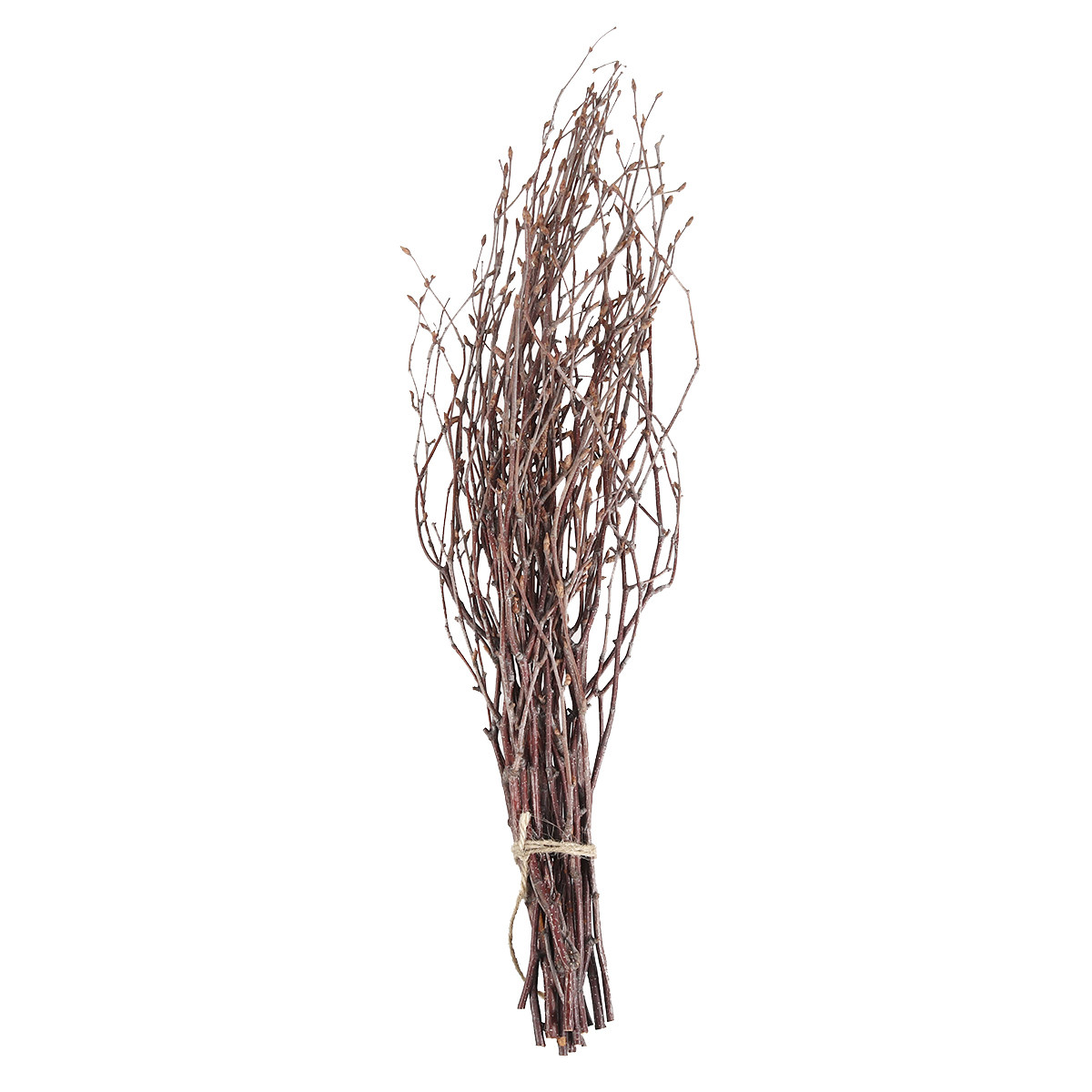 10 adet huş ağacı dalları doğa - Art Craft Stick incelemesi ve fiyatı